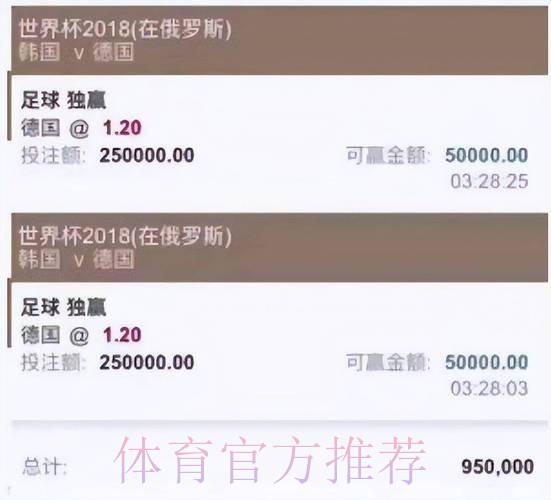 全面解析世界杯投注平台功能与特点